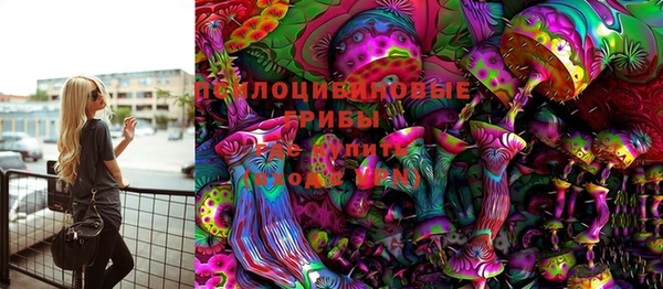 МДПВ Осташков