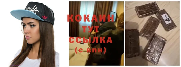 тгк Алзамай