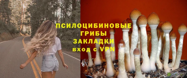 гидропоника Алексеевка