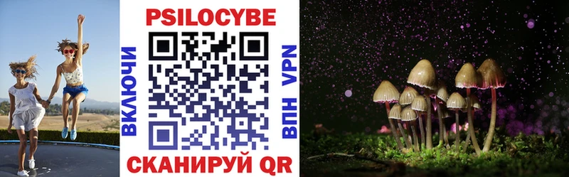 Псилоцибиновые грибы Psilocybe Навашино